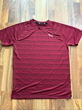 Puma Men's Burgundy Short Sleeve Performance Tee Size M